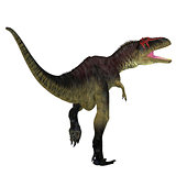 Tyrannotitan Dinosaur Tail