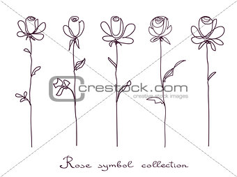 Roses. Sketch on white background