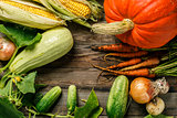 Autumn harvest vegetables