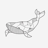 Whale coloring book for adults vector illustration