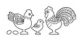 Contour image of stylized cock family
