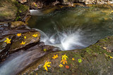 Fall Season at Rock Creek
