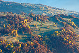 Colorful trees on slope in autumn Carpathian. 
