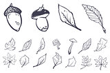 Sketch leaves elements set