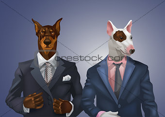 doberman and bullterrier dressed up in office suit
