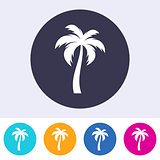 Vector single palm tree icon