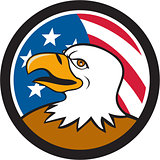 Bald Eagle Head Smiling USA Flag Circle Cartoon