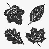 Leaves Silhouette Vector