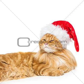 Big ginger cat in christmas hat