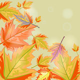 Autumn background with leaves.