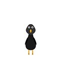 Funny blackbird character