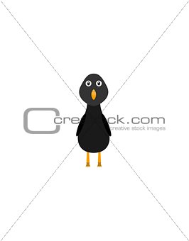 Funny blackbird character