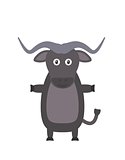 Funny buffalo character