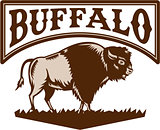 Buffalo American Bison Side Woodcut