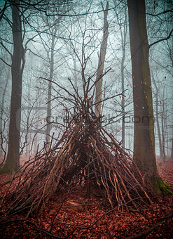 Witch house in the forest with fog
