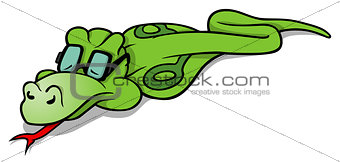 Sleeping Green Snake