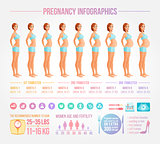Nine months of pregnancy in progress. Infographic vector set.