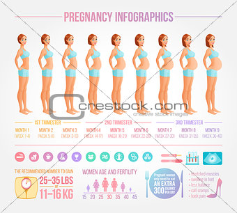 Nine months of pregnancy in progress. Infographic vector set.