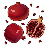 Whole and cut pomegranate icon set.