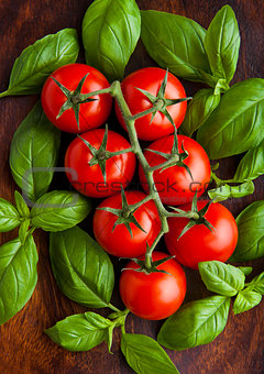 Fresh tomatoes with basil on wooden board
