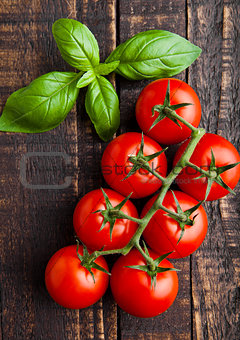 Fresh tomatoes with basil on wooden board