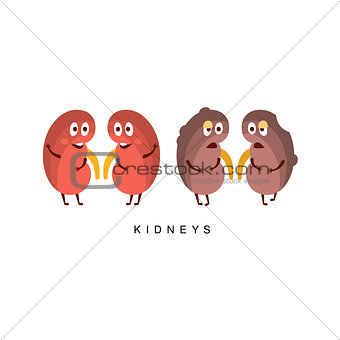 Healthy vs Unhealthy Kidneys Infographic Illustration