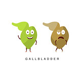 Healthy vs Unhealthy Gallbladder Infographic Illustration