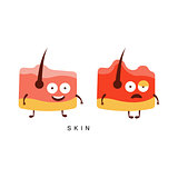 Healthy vs Unhealthy Skin Infographic Illustration