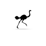 Graphic symbol of ostrich