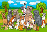 purebred dogs group cartoon