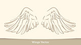 Sketch illustration of wings on white background. vector