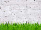 Grass and brick wall