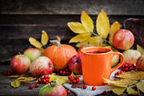 Orange mug on autumn background