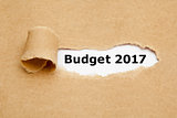 Budget Year 2017 Torn Paper Concept