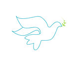 Dove illustration on white background