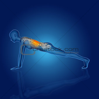 3D female figure in yoga position with spine highlighted