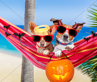 dogs on hammock on halloween 