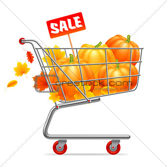 Shopping Cart with Pumpkins
