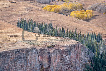 aspen, spruce  and sandstone cliff