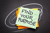find your purpose advice or reminder
