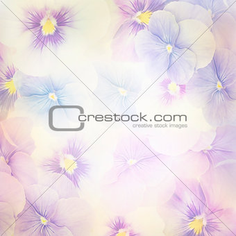 Violet Flowers Background