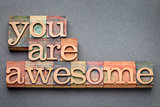 you are awesome in wood type