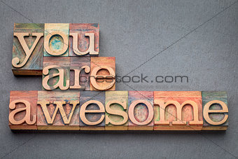 you are awesome in wood type
