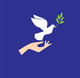 Vector Dove With Olive Branch
