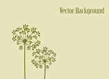 Vector Fennel Flower