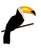 Vector Toucan Bird