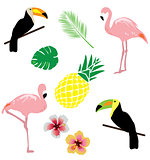 Vector Tropical Background