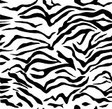 Vector Zebra Pattern