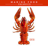 Red Lobster. Marine Food