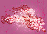 Sakura branch on a light background. EPS10 vector illustration